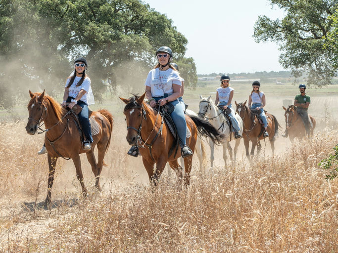 Beach Horseback Riding in Lisbon thumbnail 2