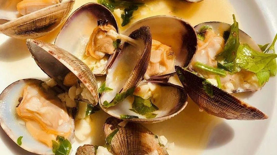 Lisbon Riverfront Seafood Meal thumbnail 5