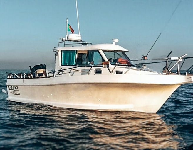 Private Deep Sea Fishing Experience thumbnail 4