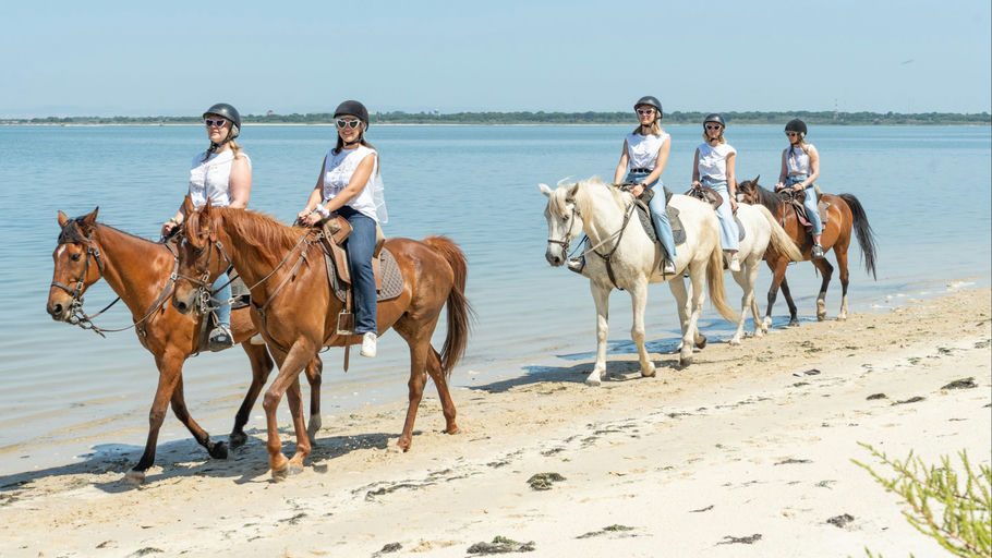 Beach Horseback Riding in Lisbon - photo 1