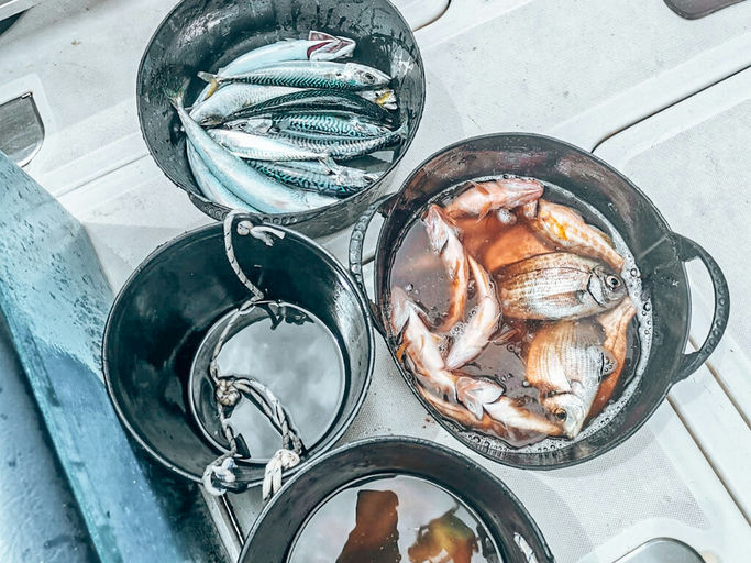 Private Deep Sea Fishing Experience thumbnail 2