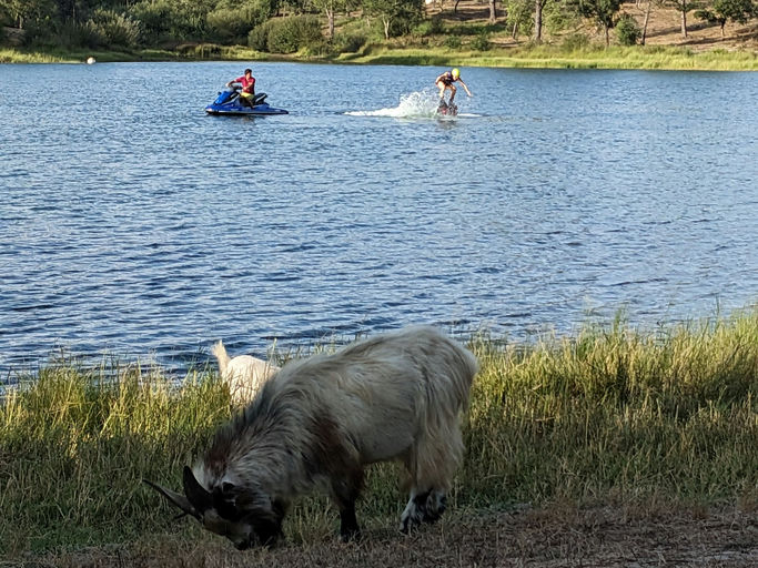 Water Sports & Outdoor Activities Day thumbnail 7